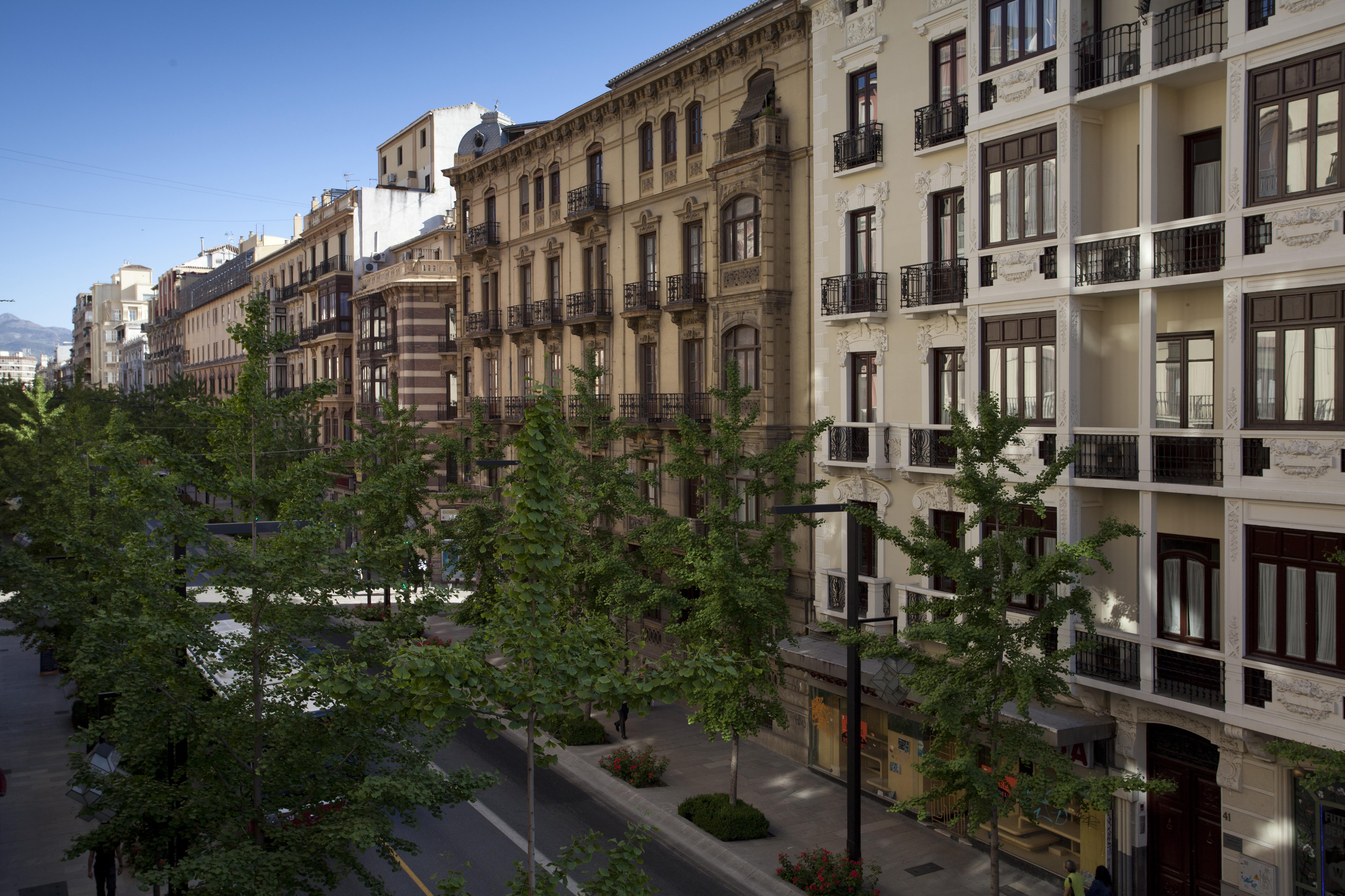 Suites Gran Via 44 Granada Dış mekan fotoğraf